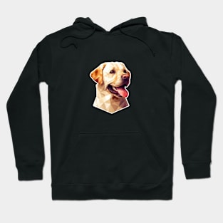 Labrador retriever dog pet portrait low poly polygonal digital art style Hoodie